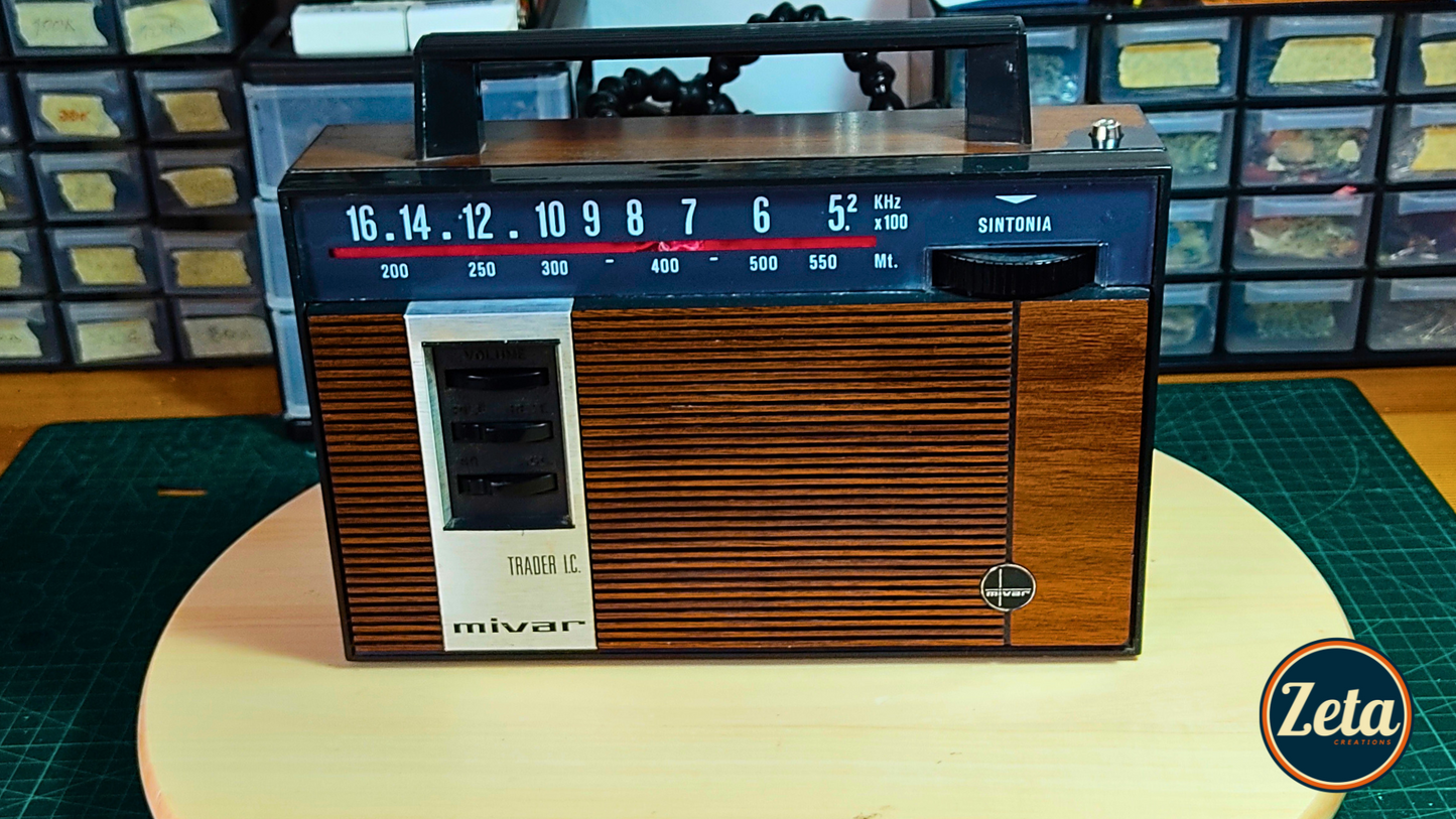 "TRADER" Portable guitar radio amp by Zeta Creations