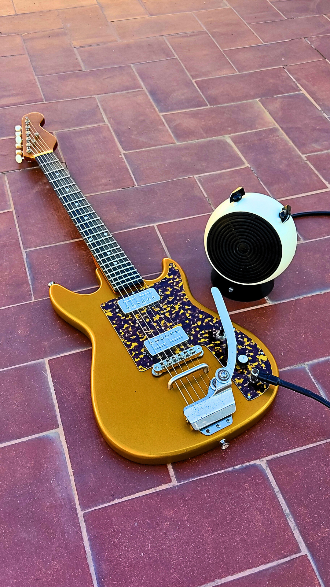 "TOAD PENGUIN" Portable guitar radio amp by Zeta Creations