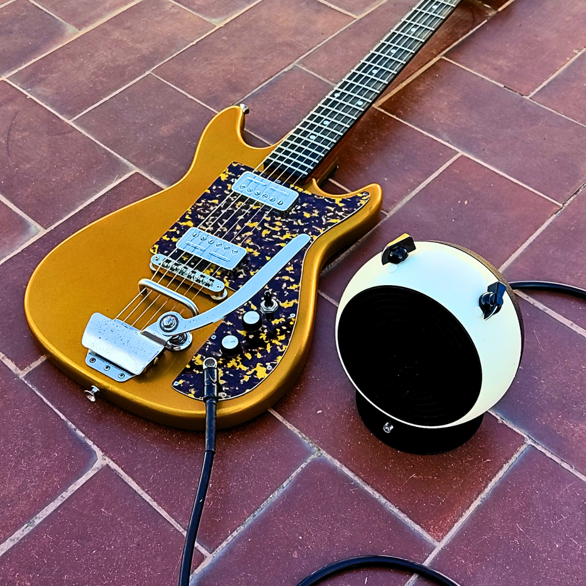 "TOAD PENGUIN" Portable guitar radio amp by Zeta Creations
