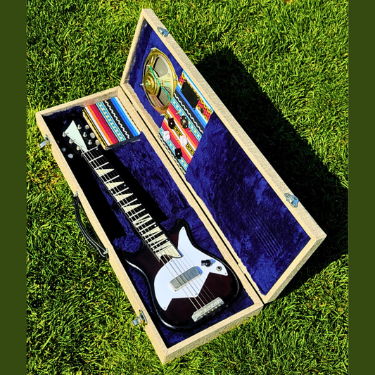 DOMINO DC Lap Steel Guitar with Handmade Amp hardcase