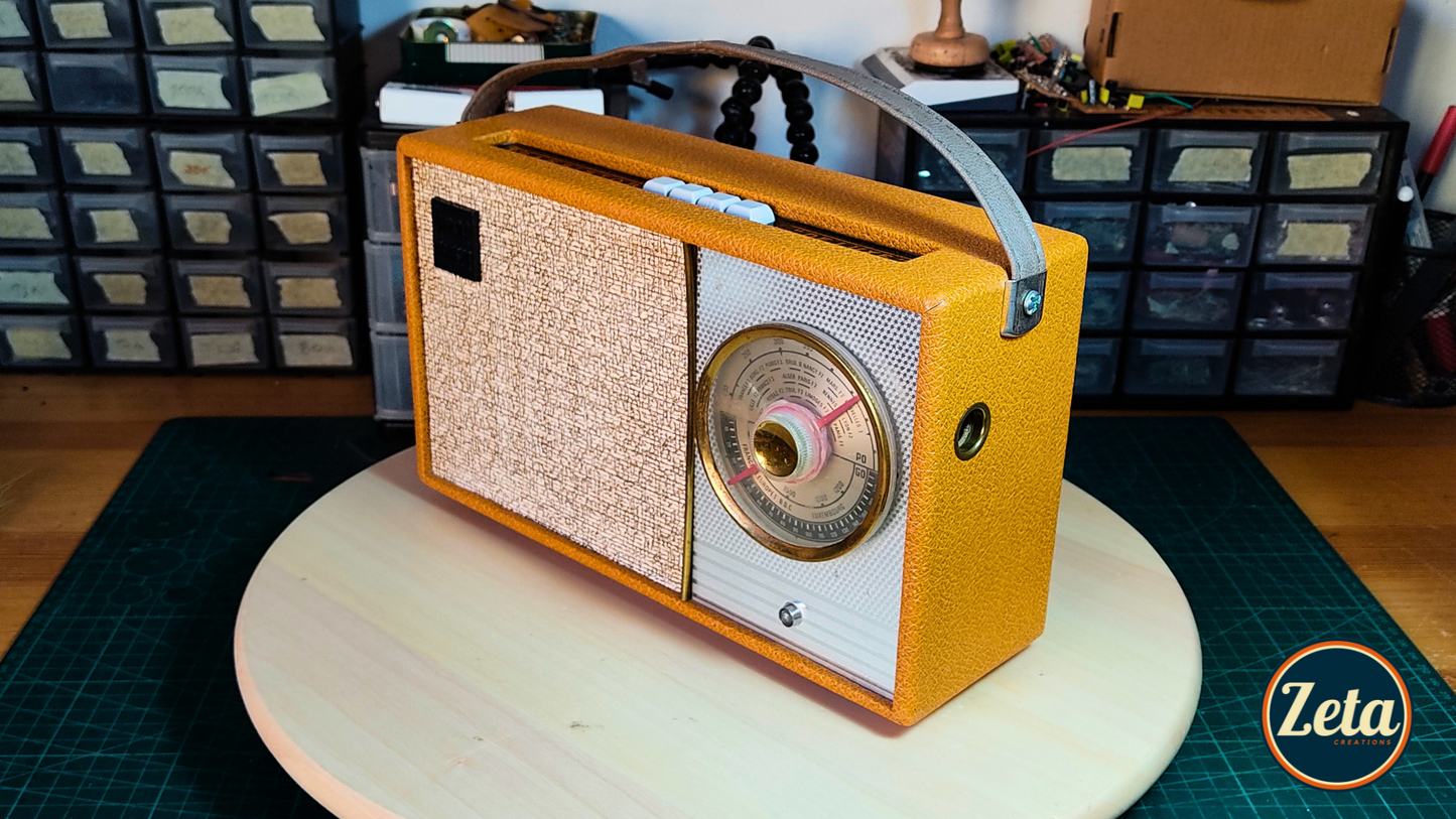 "THOMPSON DELUXE" Portable guitar radio amp by Zeta Creations