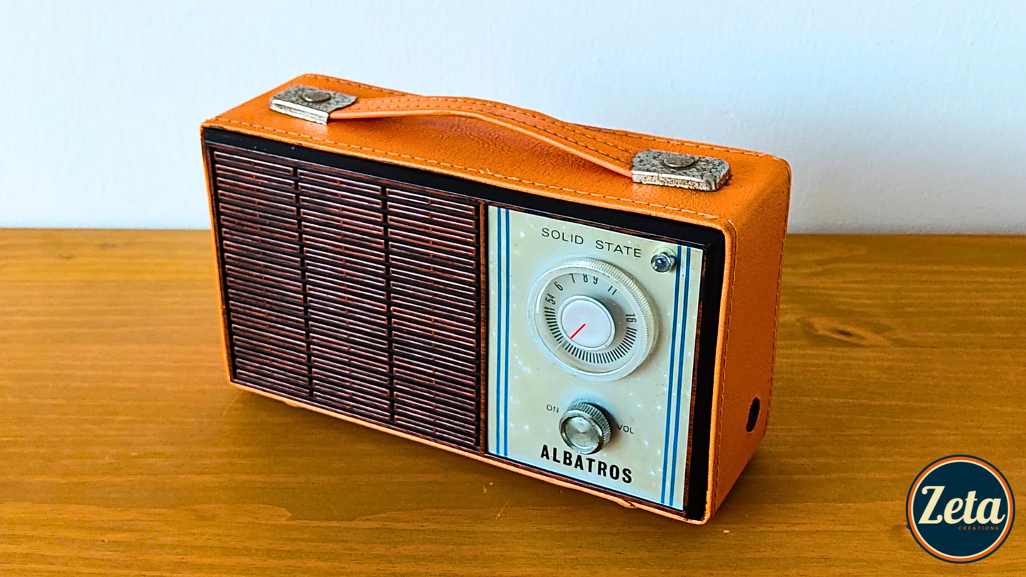 "ALBATROS" Portable guitar radio amp by Zeta Creations