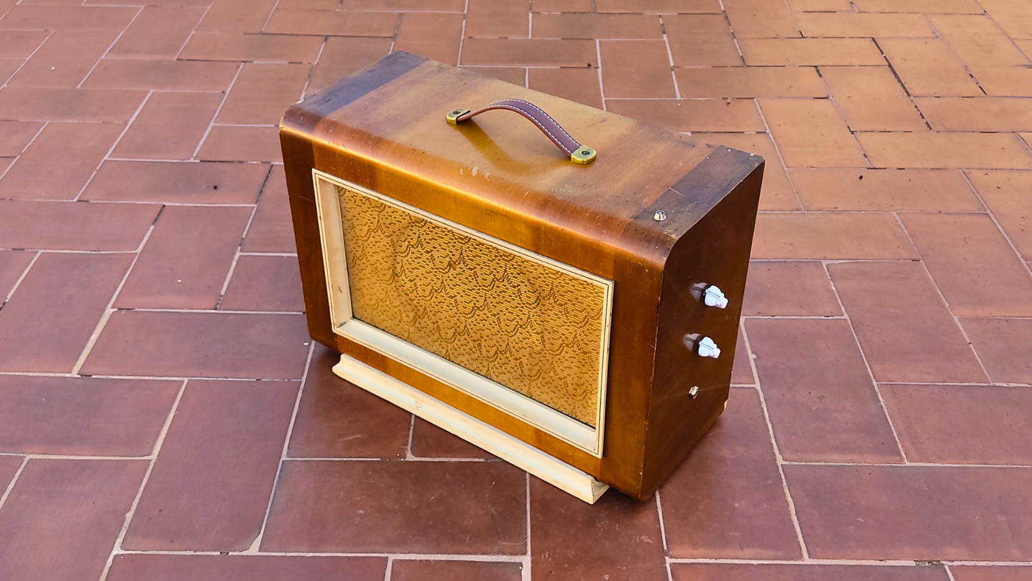 "BIG BOY T"  Guitar amp with built in tremolo