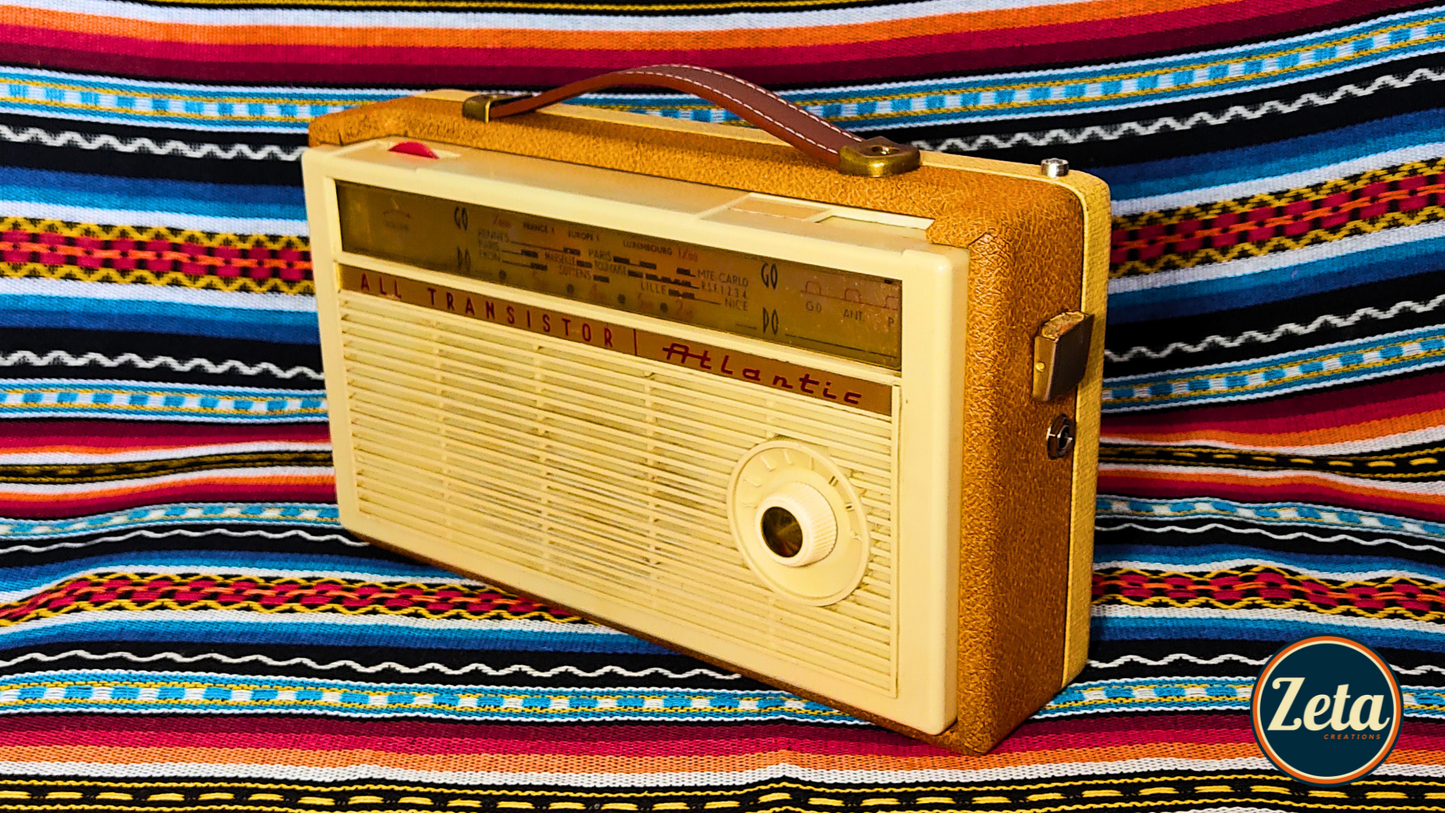 "ATLANTICA" Portable guitar radio amp by Zeta Creations