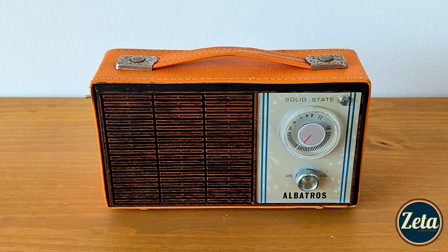 "ALBATROS" Portable guitar radio amp by Zeta Creations