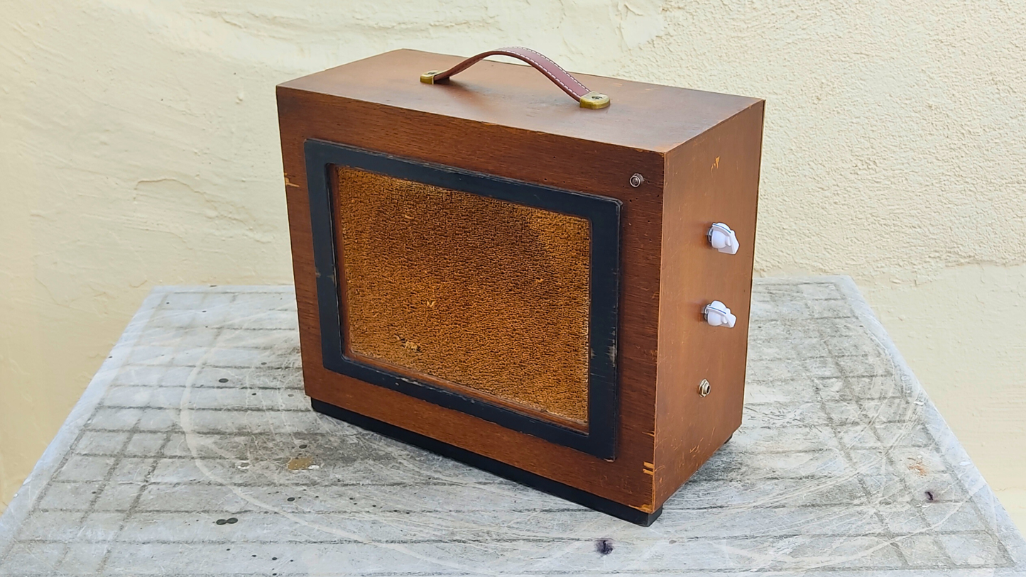 "LUCHBOX T"  Guitar amp with built in tremolo