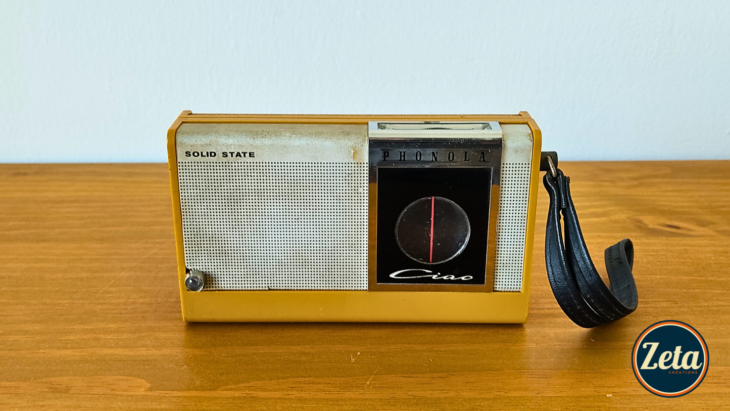 "PHONO" Portable guitar radio amp by Zeta Creations