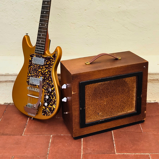 "LUCHBOX T"  Guitar amp with built in tremolo