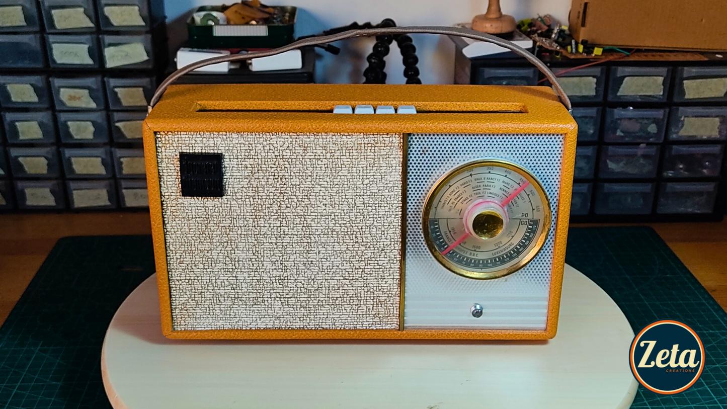 "THOMPSON DELUXE" Portable guitar radio amp by Zeta Creations