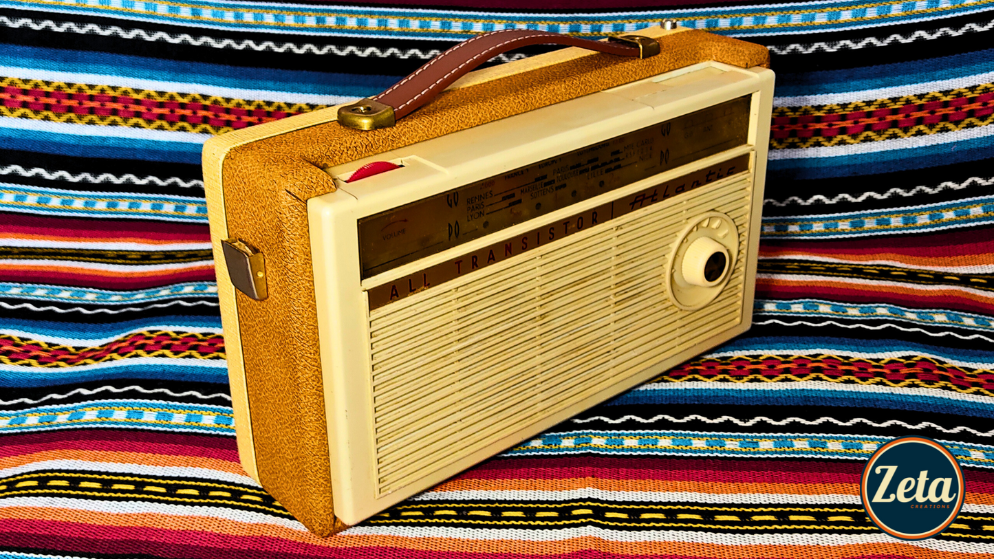 "ATLANTICA" Portable guitar radio amp by Zeta Creations