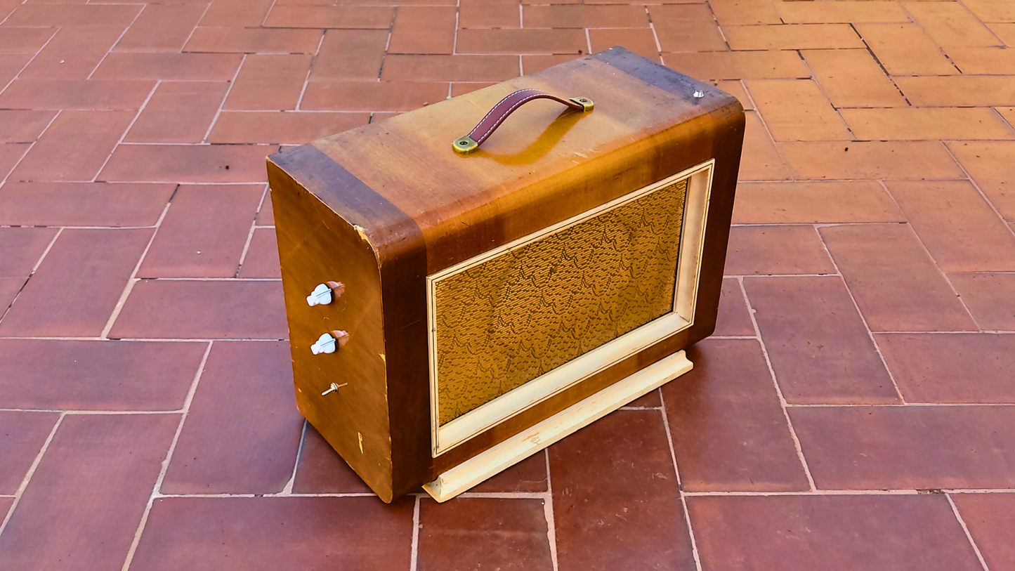 "BIG BOY T"  Guitar amp with built in tremolo