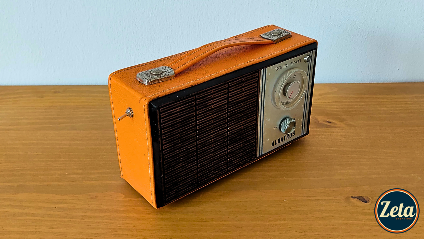 "ALBATROS" Portable guitar radio amp by Zeta Creations