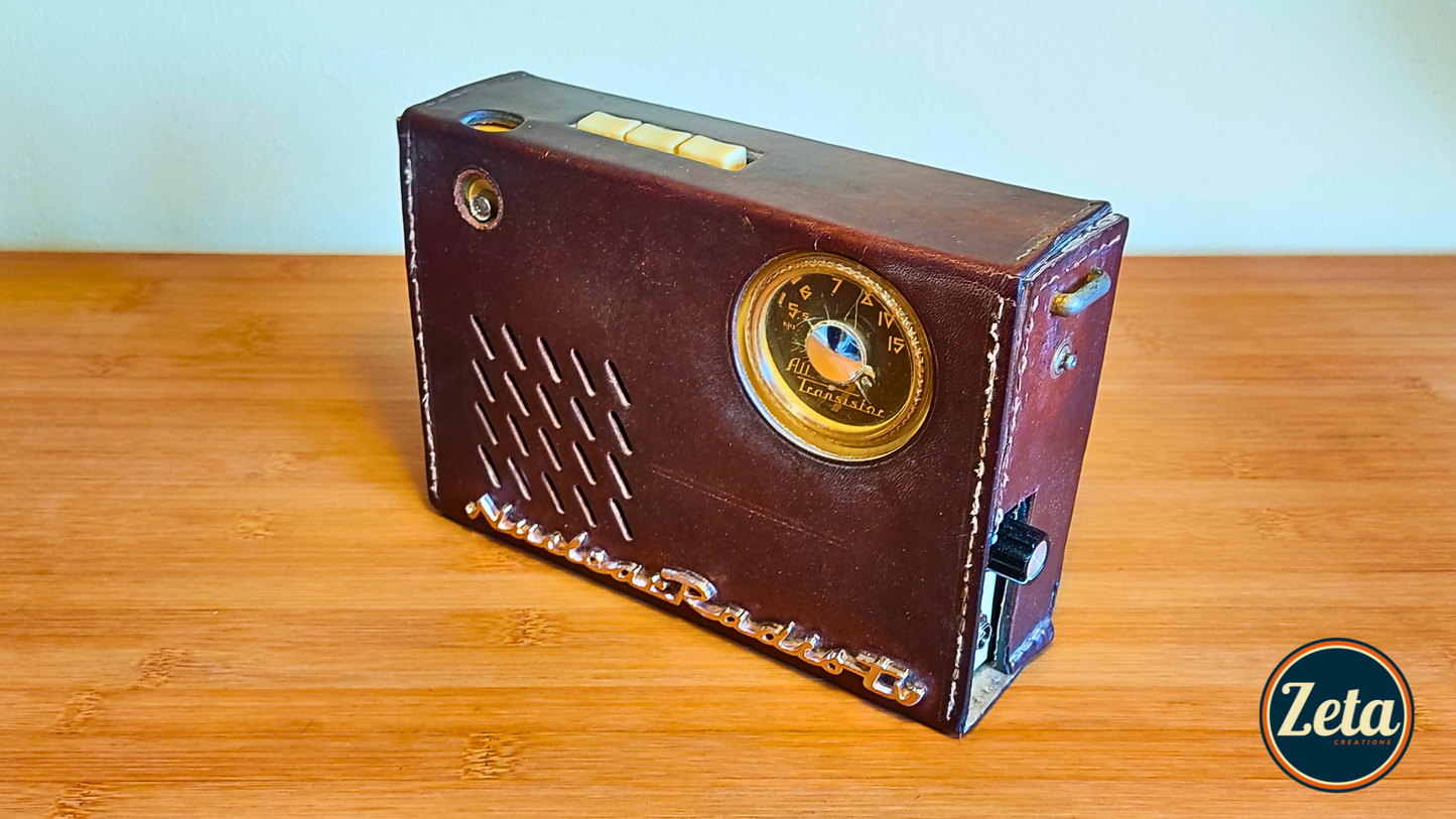 "NUKE" Portable guitar radio amp by Zeta Creations