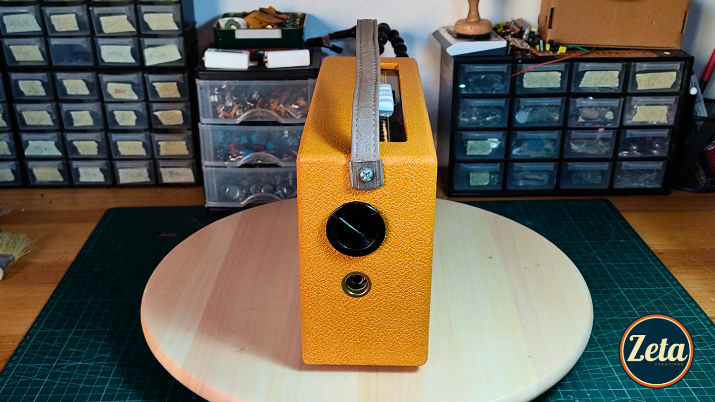"THOMPSON DELUXE" Portable guitar radio amp by Zeta Creations