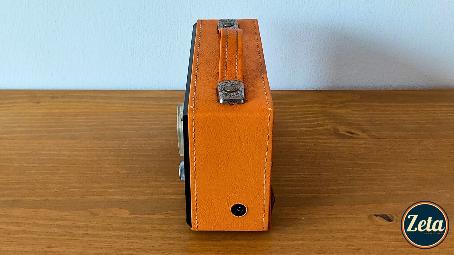 "ALBATROS" Portable guitar radio amp by Zeta Creations