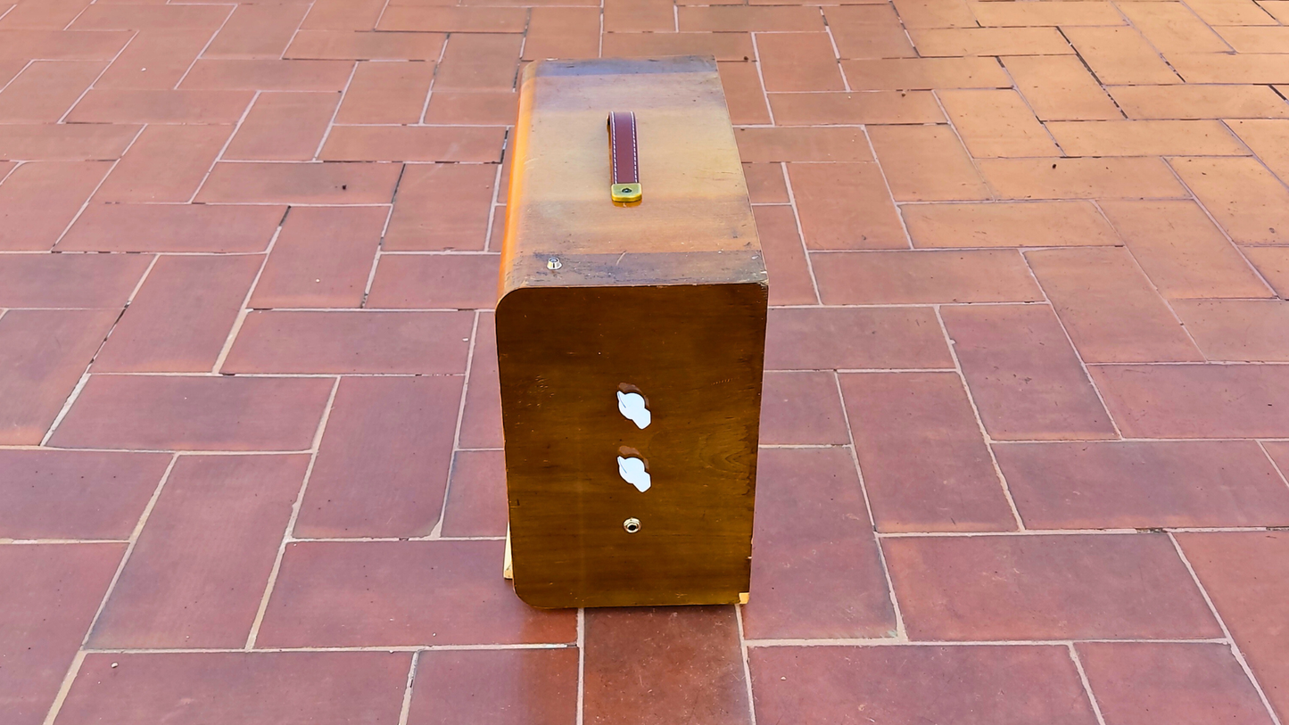 "BIG BOY T"  Guitar amp with built in tremolo