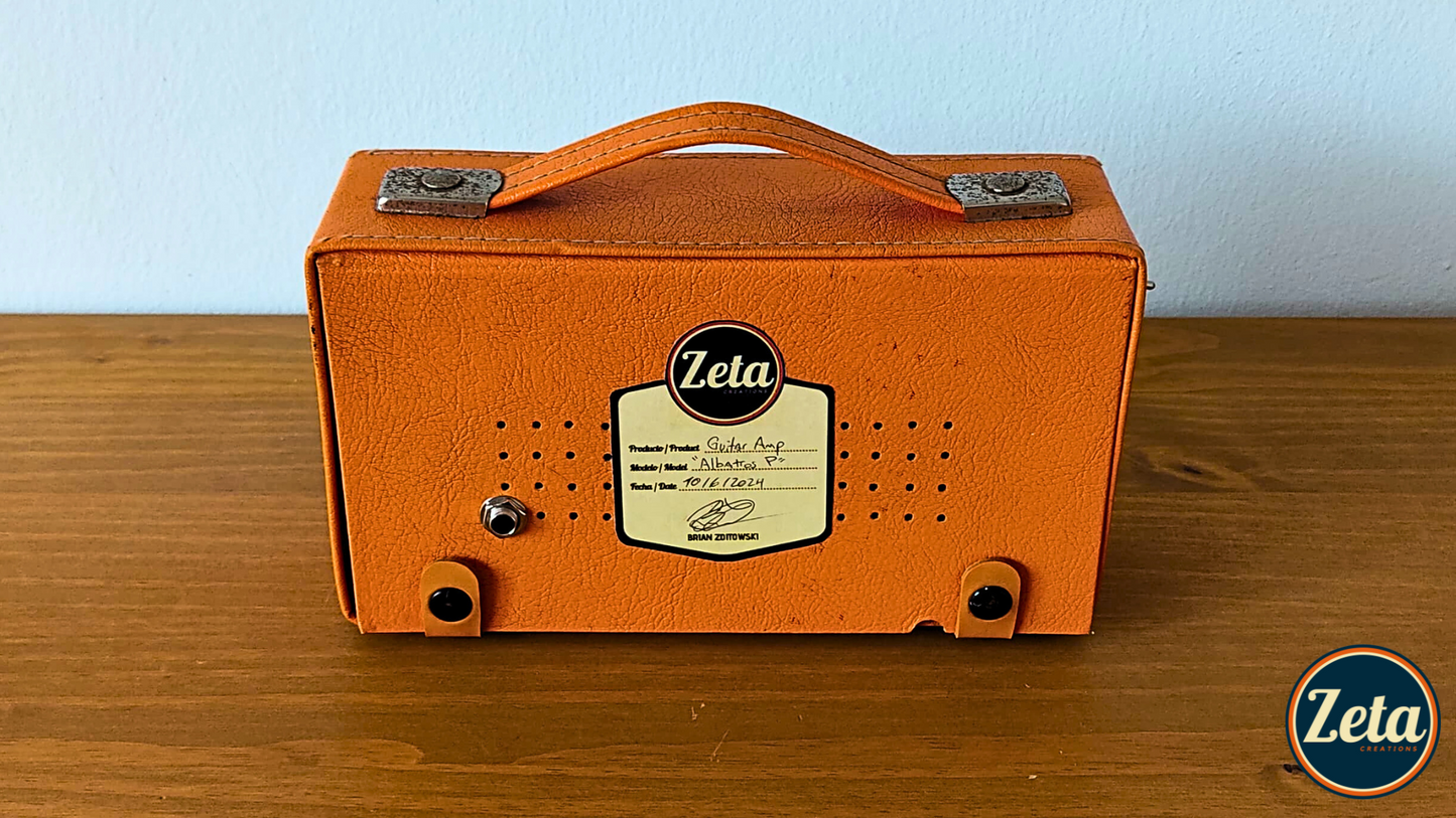 "ALBATROS" Portable guitar radio amp by Zeta Creations