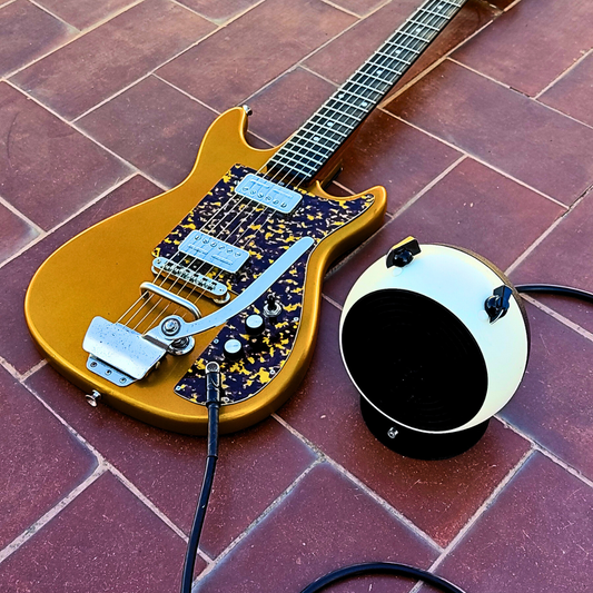 "TOAD PENGUIN" Portable guitar radio amp by Zeta Creations