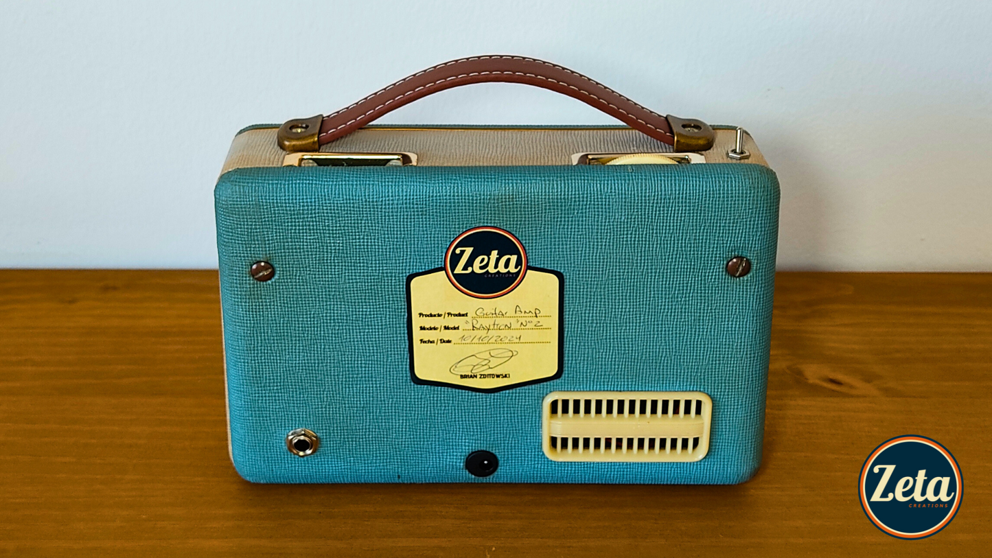 "RAYTRON" Portable guitar amp by Zeta Creations