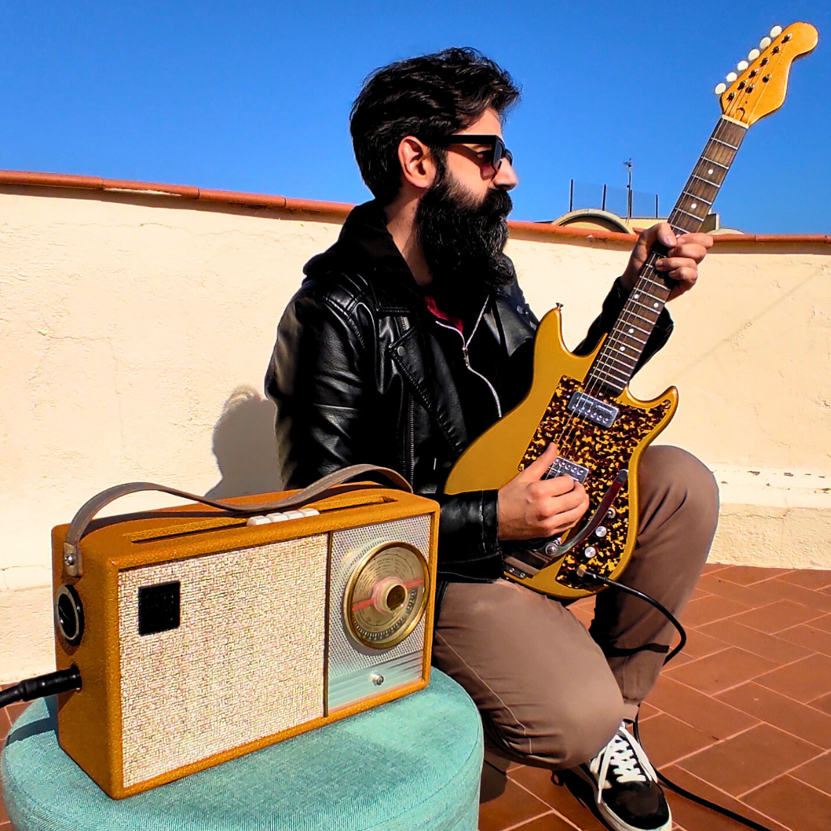 "THOMPSON DELUXE" Portable guitar radio amp by Zeta Creations