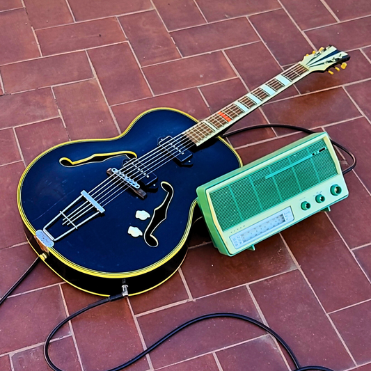 "TITAN T" Portable guitar radio amp with tremolo by Zeta Creations