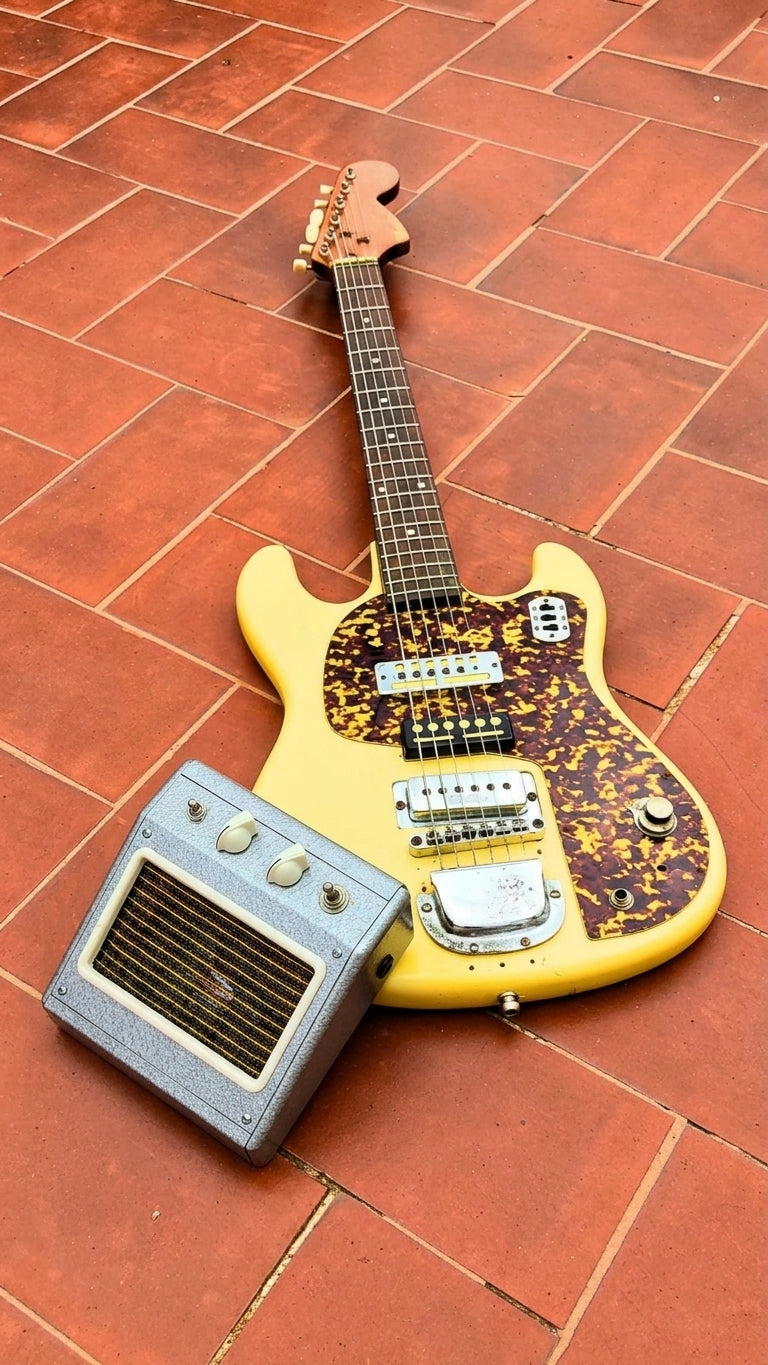 FLEXER Vintage guitar radio amp