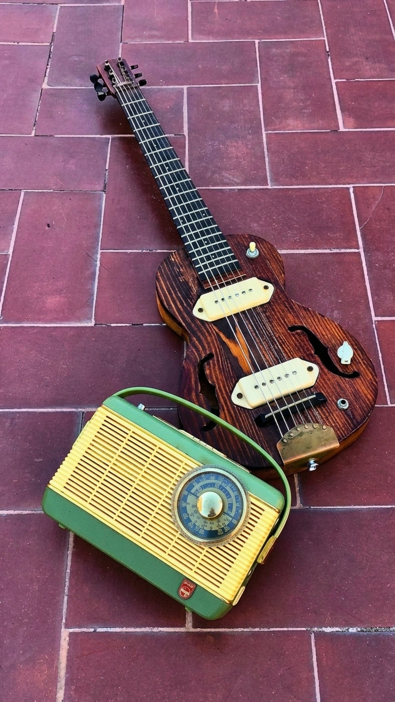 WILD THING Vintage guitar radio amp