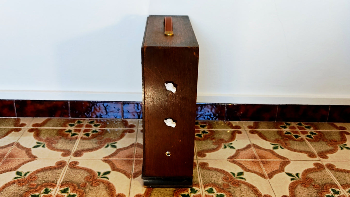 "BLASTER T" Guitar amp with built in tremolo