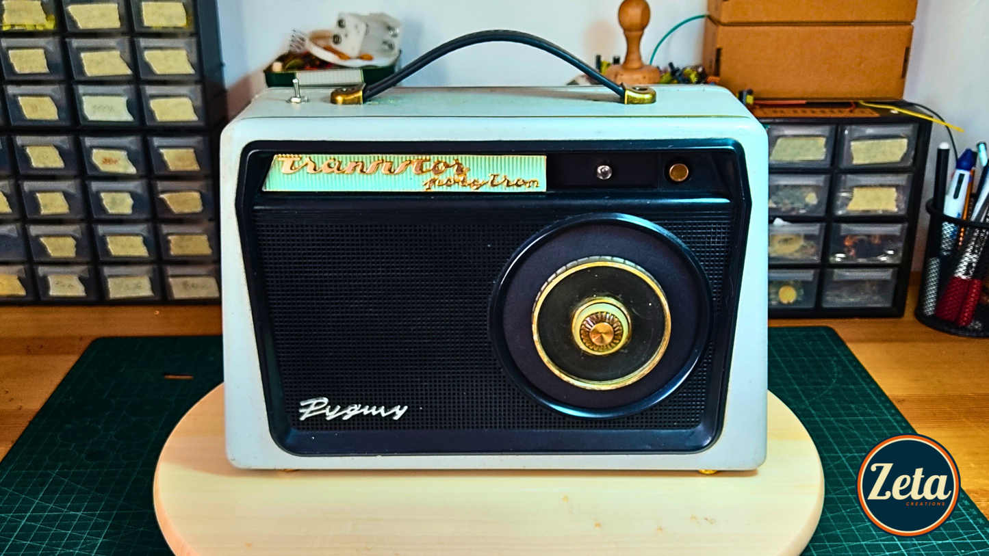 "PYGMY" Portable guitar radio amp by Zeta Creations