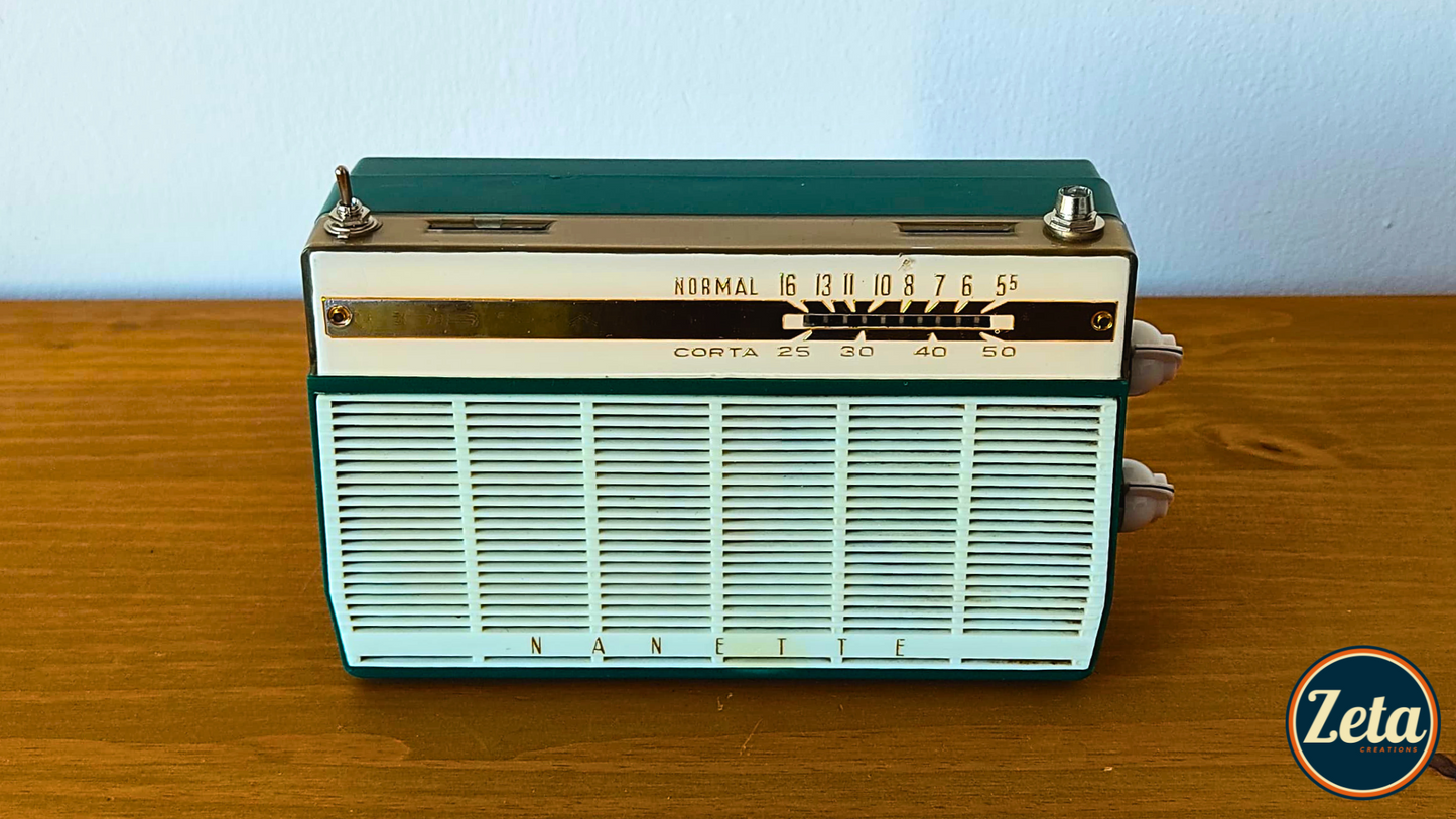 "NANETTE" Portable guitar amp by Zeta Creations