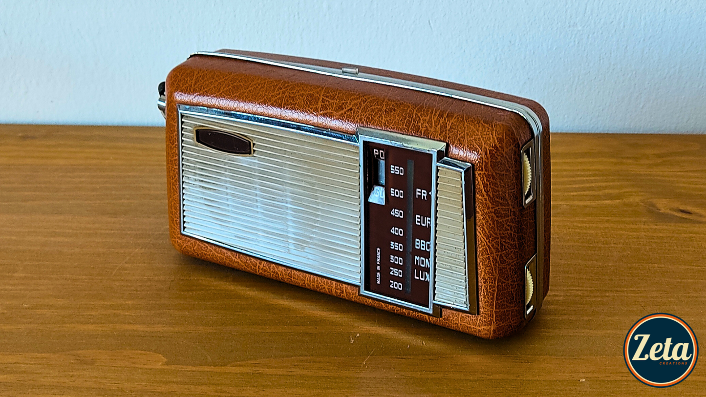 "SERGE B" Portable guitar radio amp by Zeta Creations