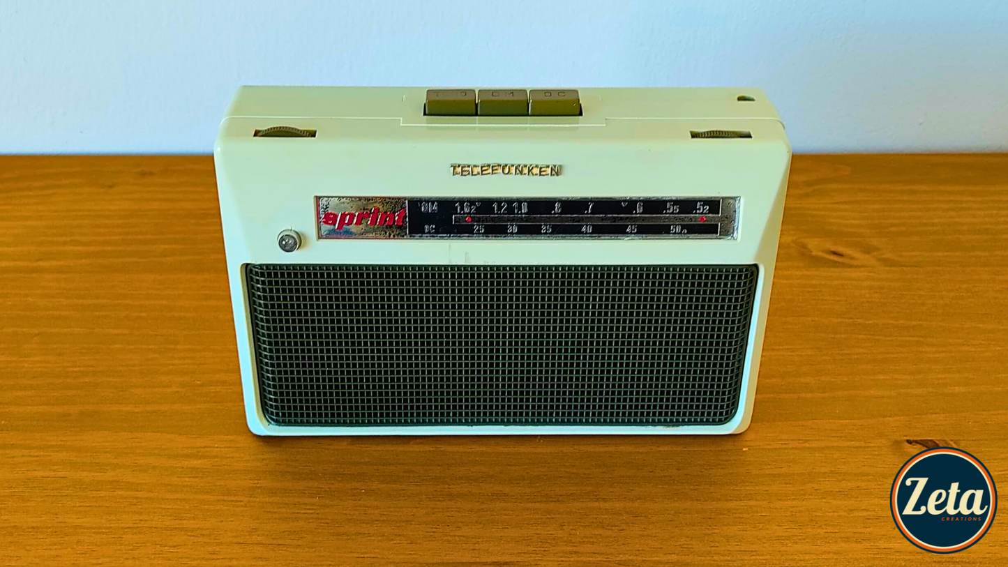 "SPRINTER" Portable guitar radio amp by Zeta Creations