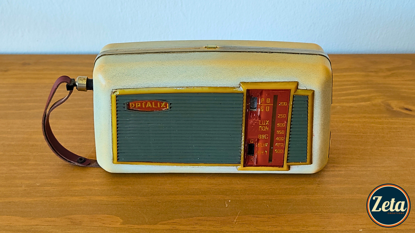 "SERGE W" Portable guitar radio amp by Zeta Creations (copia)