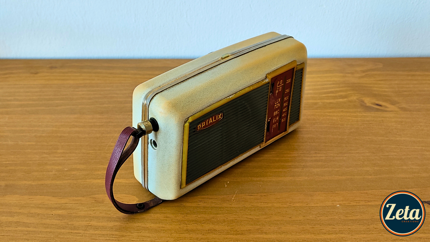 "SERGE W" Portable guitar radio amp by Zeta Creations (copia)