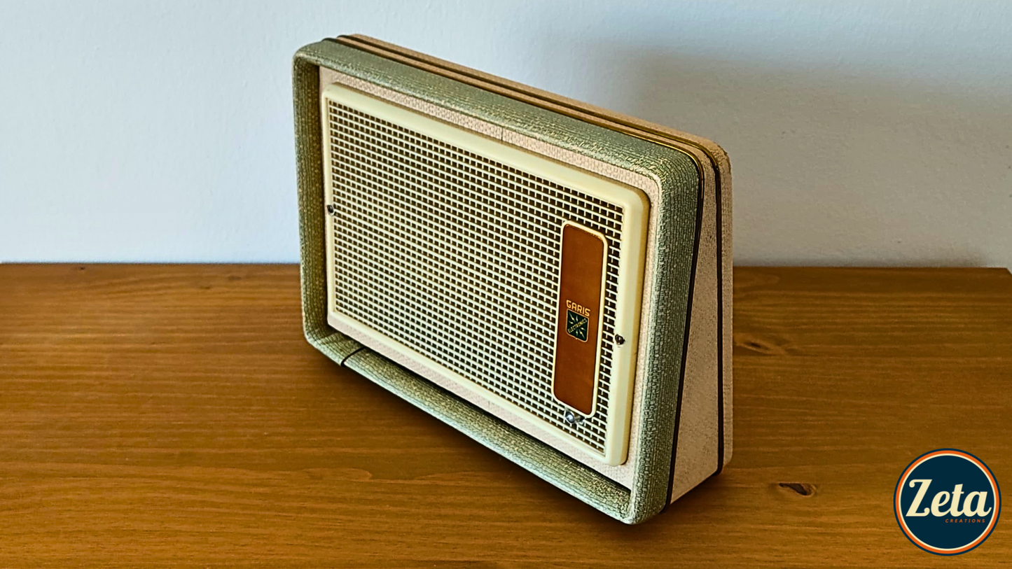 "TWINS" Portable guitar amp by Zeta Creations