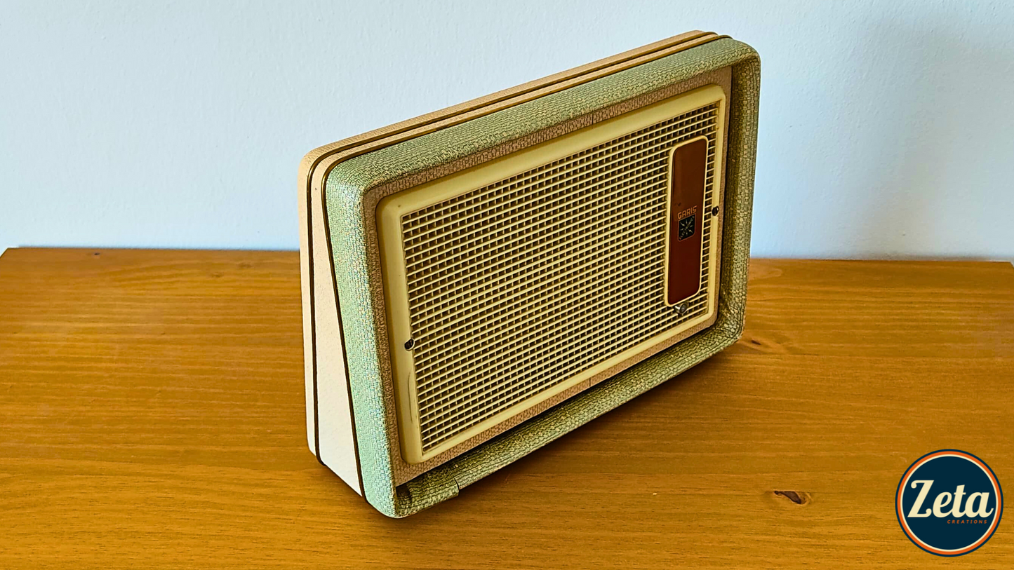 "TWINS" Portable guitar amp by Zeta Creations