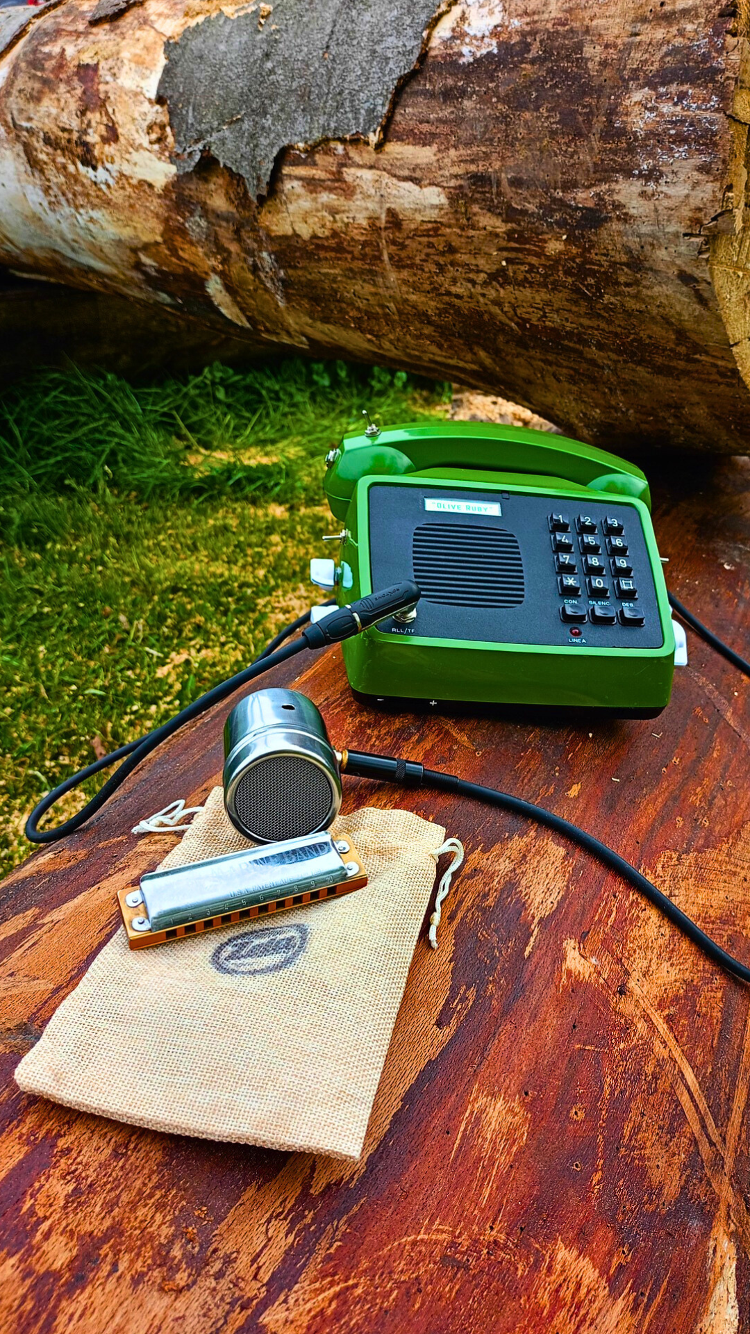 OLIVE RUBY TC – artistic outdoor photo of guitar amp made from vintage phone

