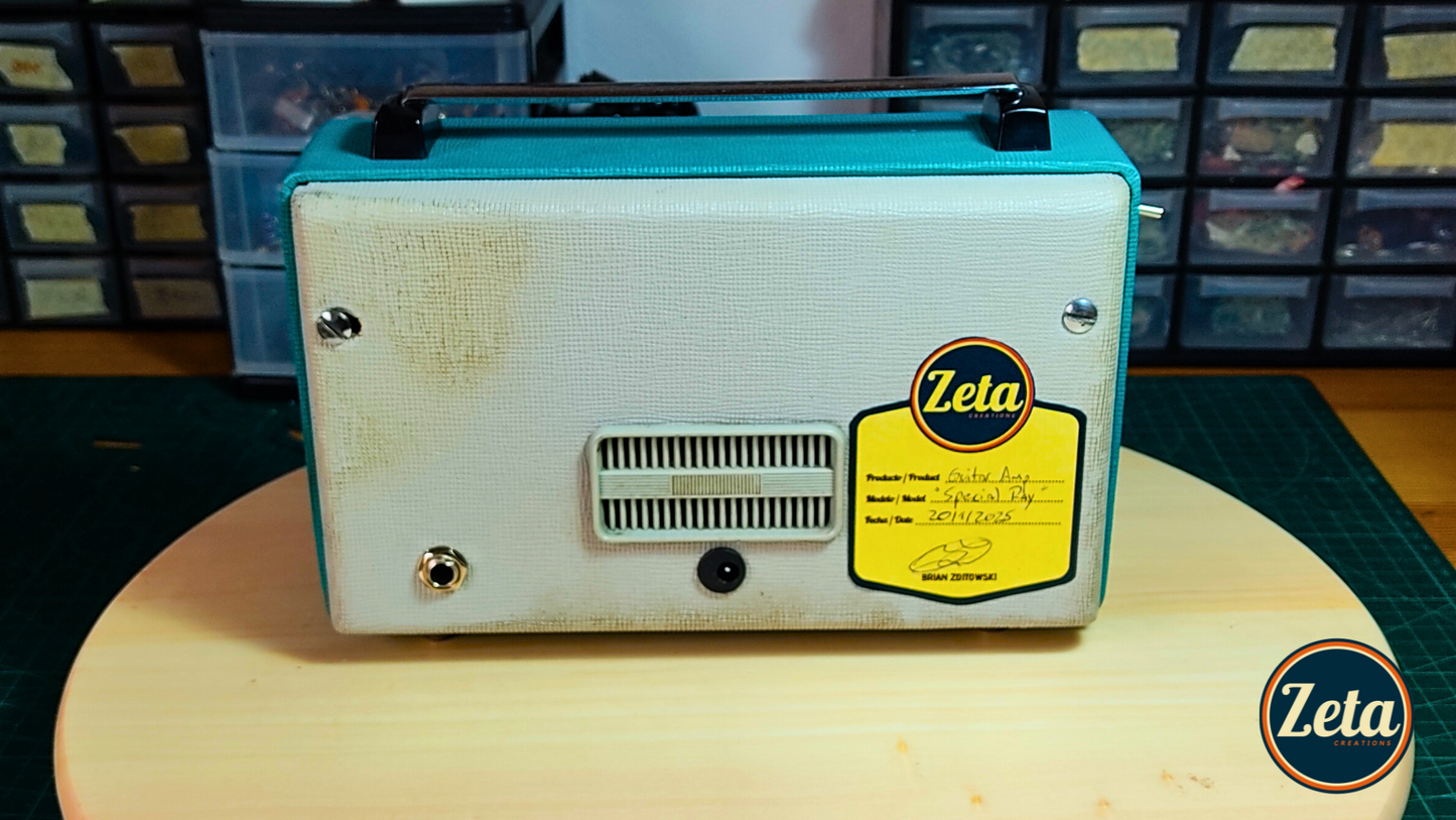 Back panel of SPECIAL RAY guitar amp with controls and inputs

